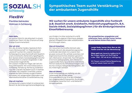 Stellenausschreibung Schleswig